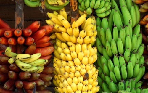 Lima Varietas Buah Pisang Unggulan di Indonesia