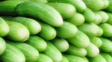 Ini 9 Manfaat Mentimun Untuk Kesehatan Tubuh